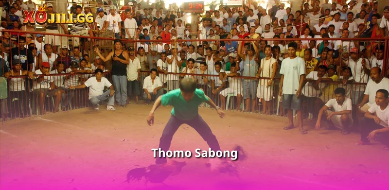 Thomo Sabong