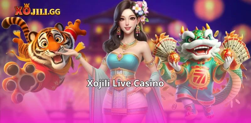 About Xojili Live Casino