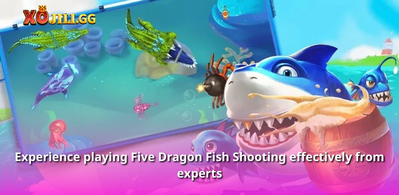 Experience playing Five Dragon Fish Shooting