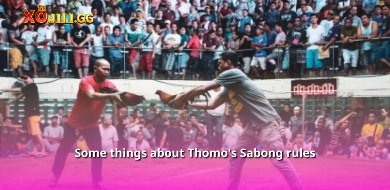 Some things about Thomo's Sabong rules