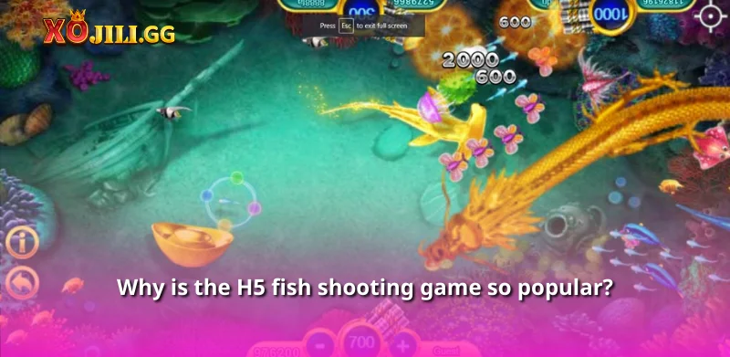 Why is the H5 fish shooting game so popular?