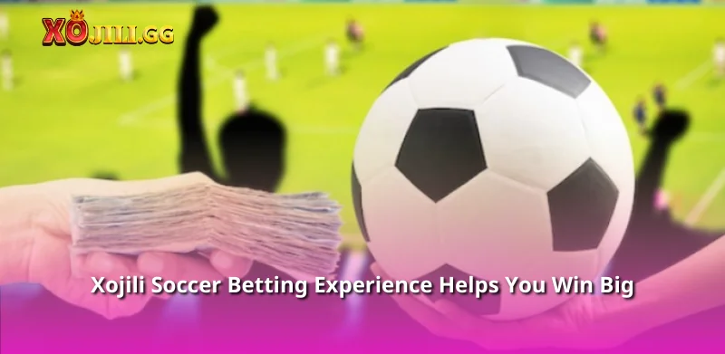 Xojili Soccer Betting Experience Helps You Win Big