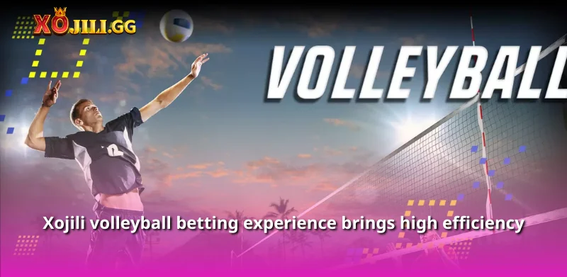 Xojili volleyball betting experience brings high efficiency