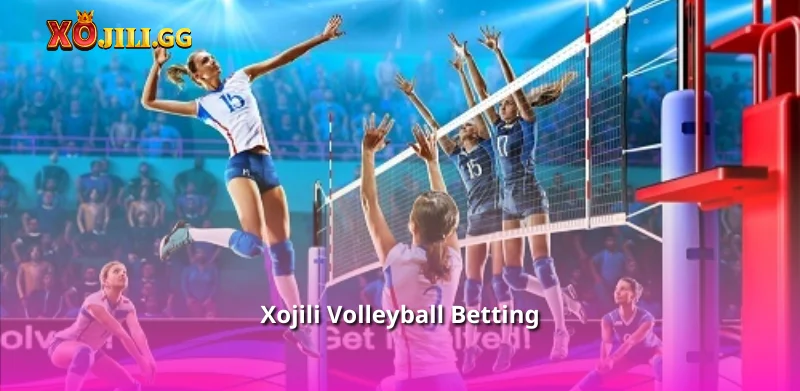 Xojili Volleyball Betting